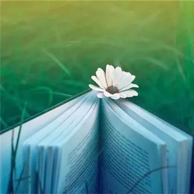 白宫新闻秘书莱维特：现在判断是否对伊朗政权更迭感到满意还为时过早。
